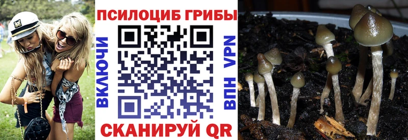 Псилоцибиновые грибы мухоморы  Кстово 